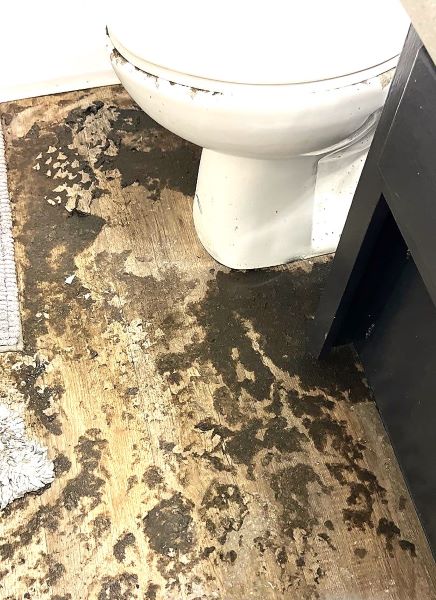 Biohazard Sewage overflow around a toilet and on bathroom rug.