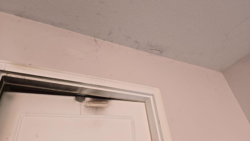 fire damage repair