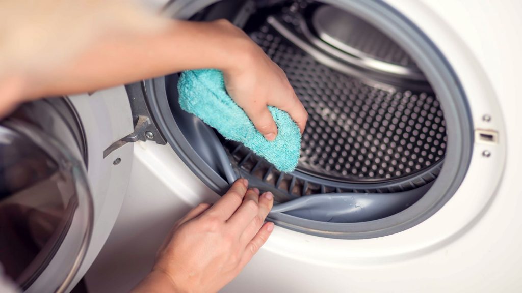 how to remove mold from rubber seal on washing machine