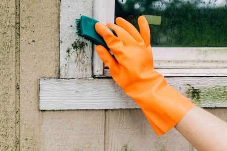 mold prevention techniques in humid climate