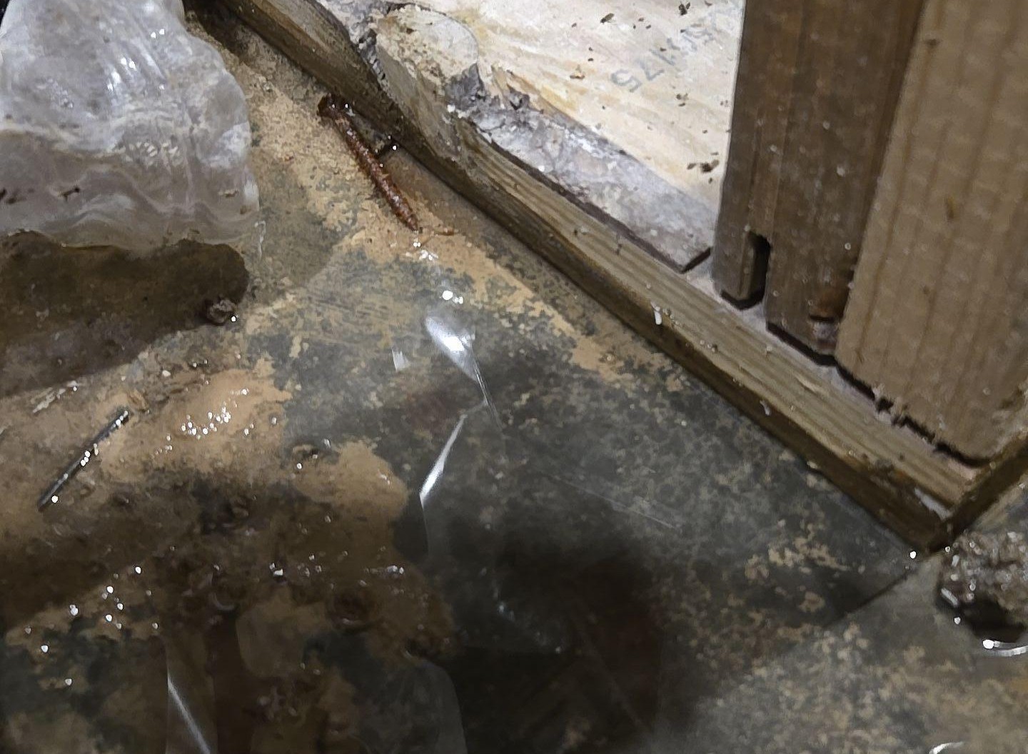 Preventing Basement Flooding: Tips for Hendersonville Homeowners