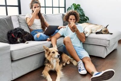 eliminate pet odor