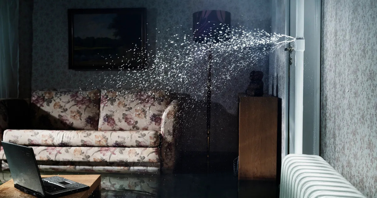 Emergency 24/7 Water Damage Restoration in Gallatin, TN: Your First 5 Critical Steps Before Help Arrives