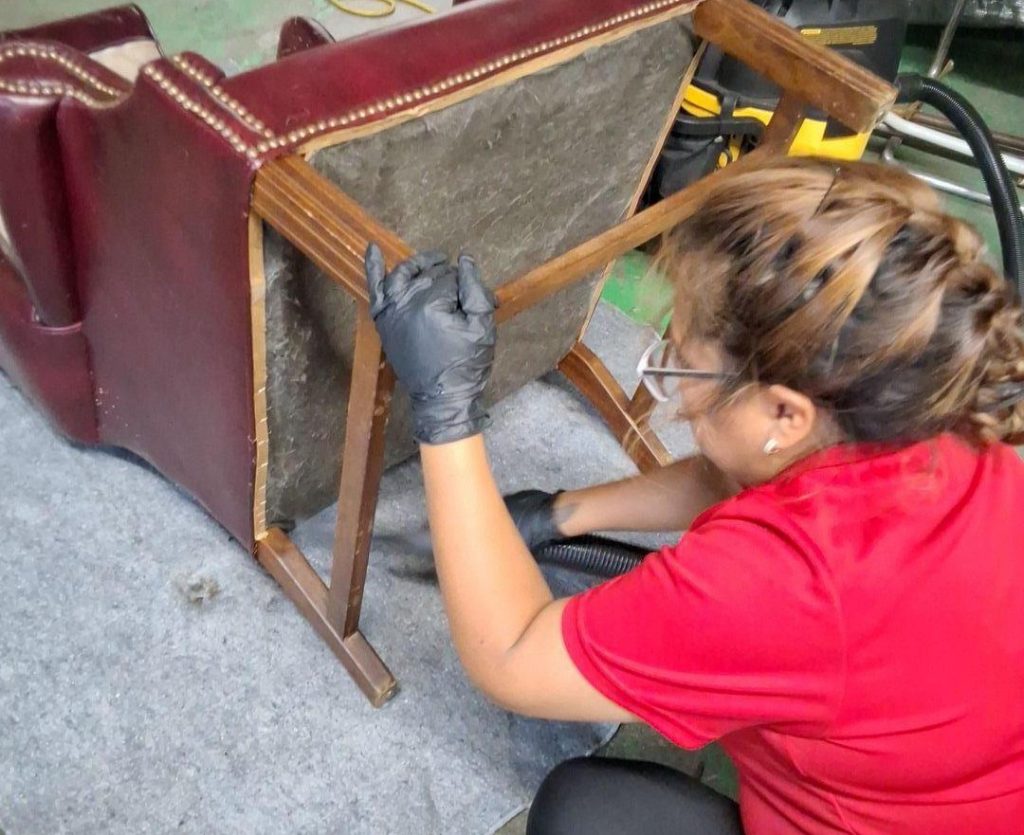 mold clean up services