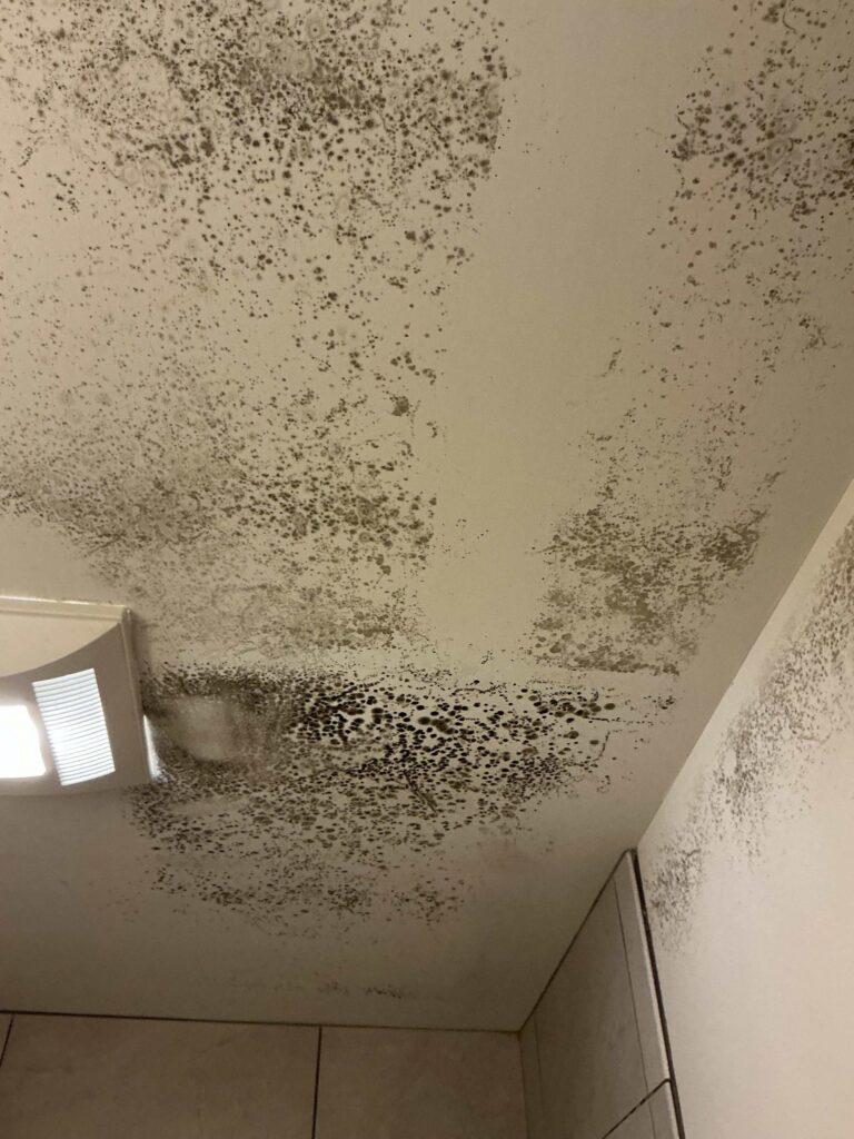Mold growth on a ceiling, highlighting the effects of high humidity in a home.