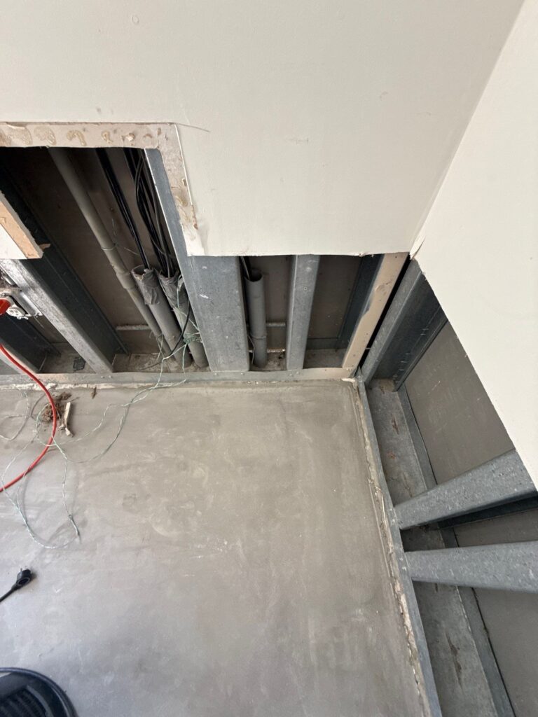commercial mold removal