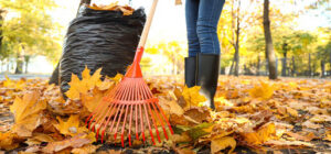 Fire safety tips for clearing leaves and outdoor debris in fall