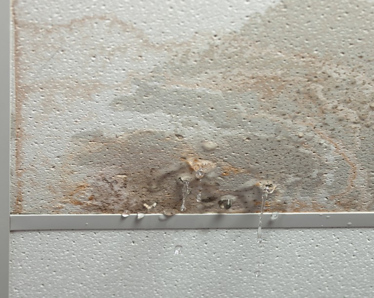 How Long Did the Water Damage Restoration Take in Dallas, GA