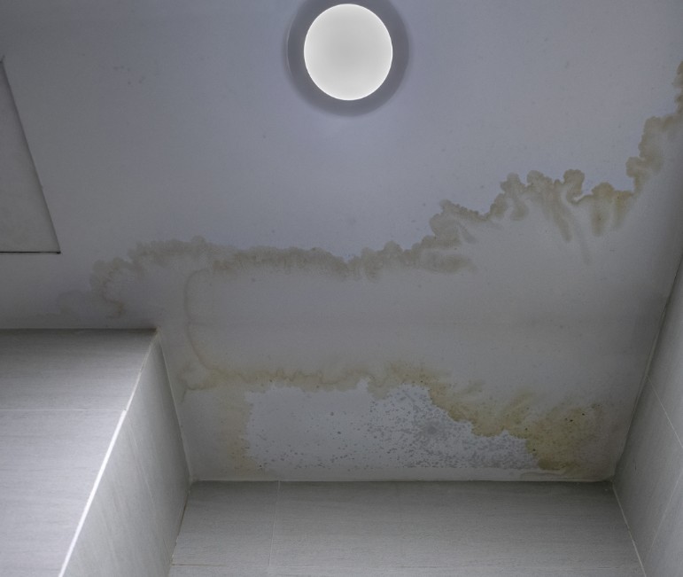 What Are the Key Steps in Water Damage Restoration Near Me