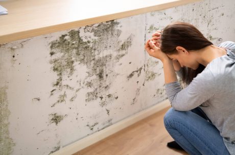 Shocked Woman Looking At Mold On Wall