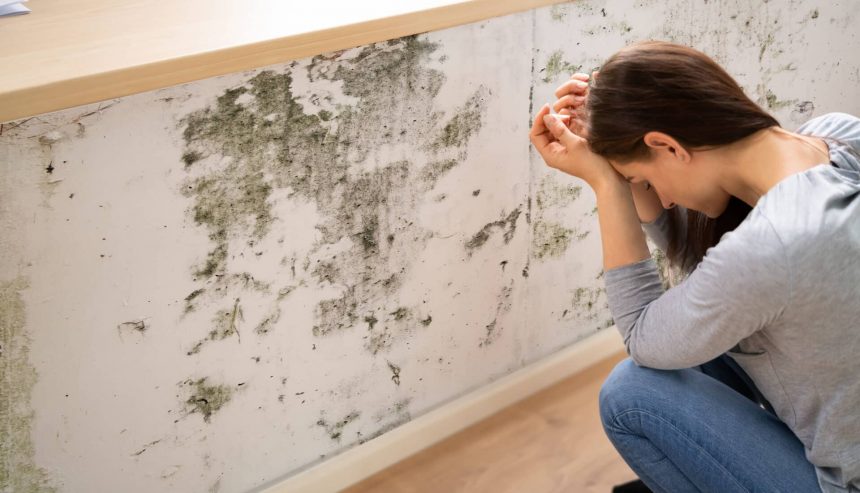 Shocked Woman Looking At Mold On Wall
