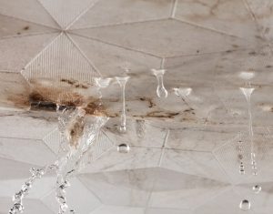 What Does Water Damage Restoration Near Me Include in Dallas, GA