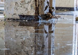 Commercial Water Damage Restoration Costs In Dallas, GA