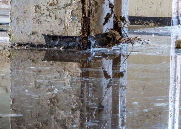 Commercial Water Damage Restoration Costs In Dallas, GA: What It Really Cost My Business
