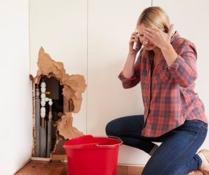 What Should I Do Immediately After Water Damage in Dallas, GA
