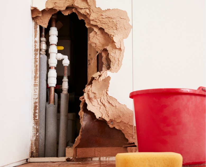 Why I Chose PuroClean of Hiram in Dallas, GA