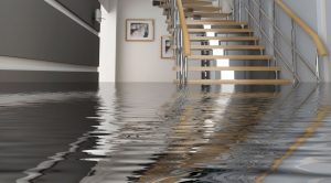Water Damage Restoration Services