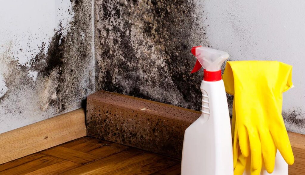 Mold