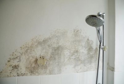 Bathroom, mold, water damage