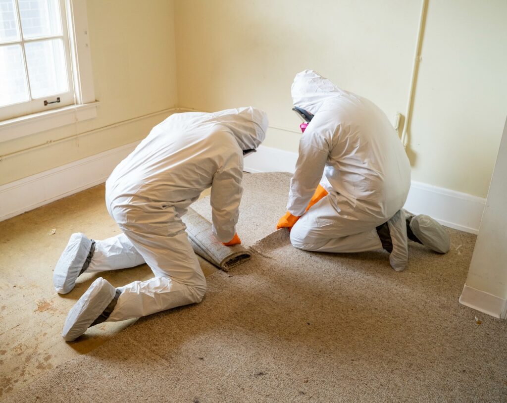 Workers clean mold.