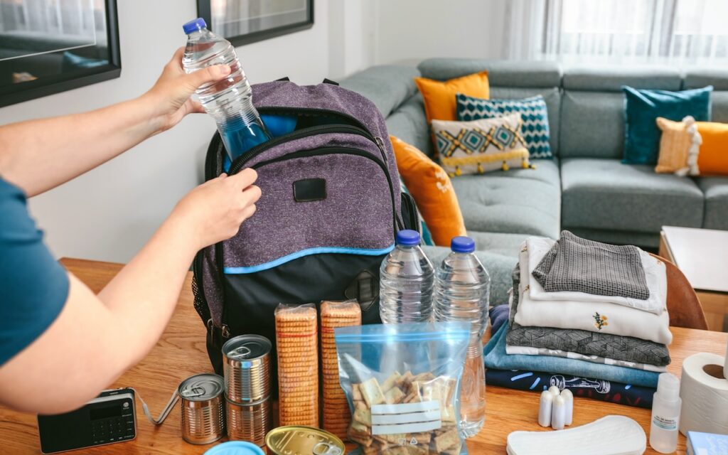 Preparing a go bag is essential for any hurricane evacuation with your dog.