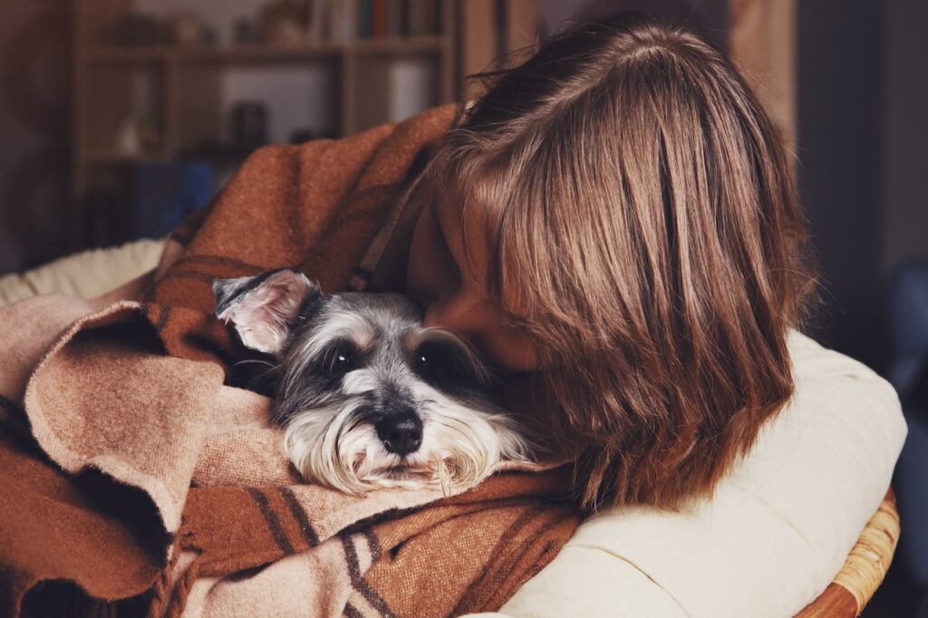Keeping your dog company during the storm can significantly reduce their anxiety.