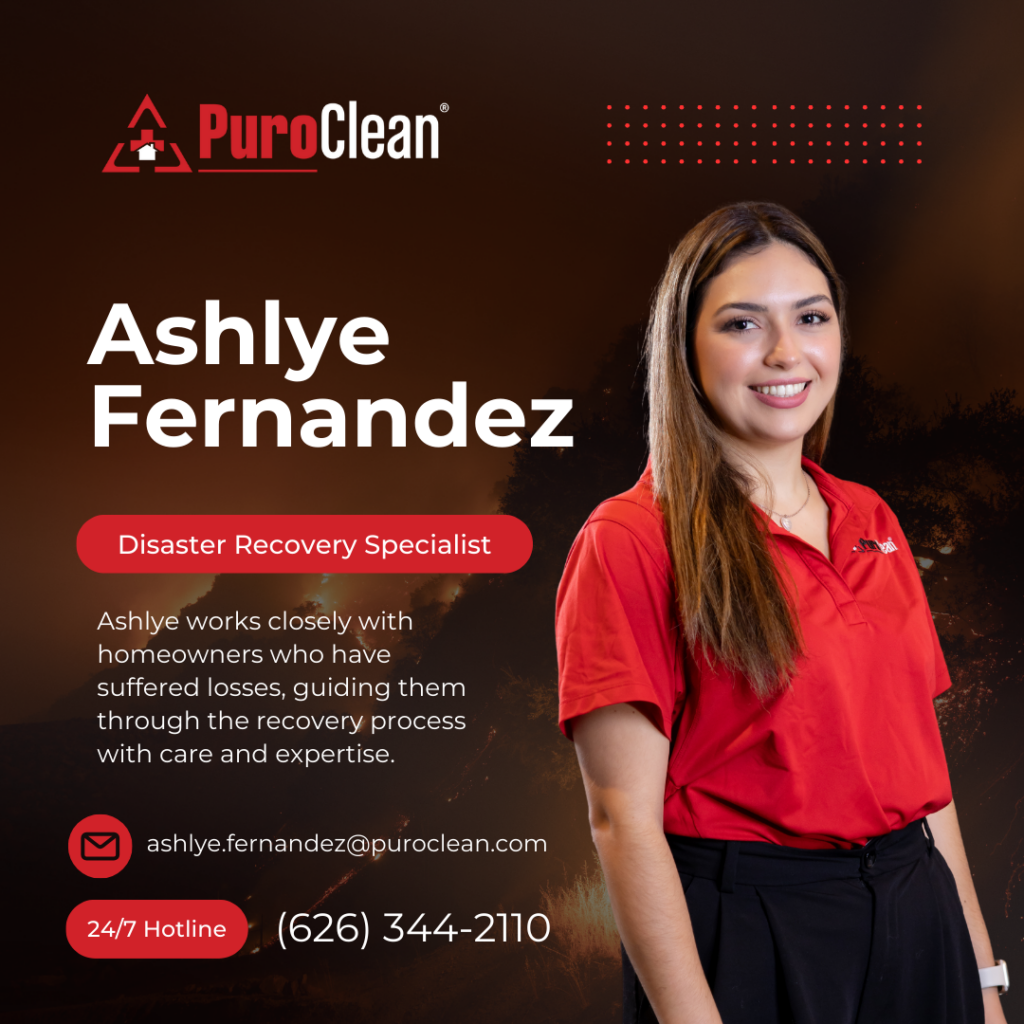 Ashlye Disaster Recovery Specialist