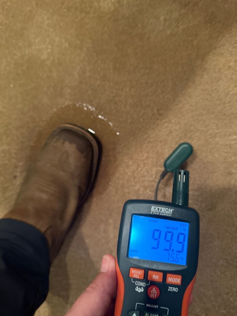 The water-logged carpet as a result of the burst sink supply line.