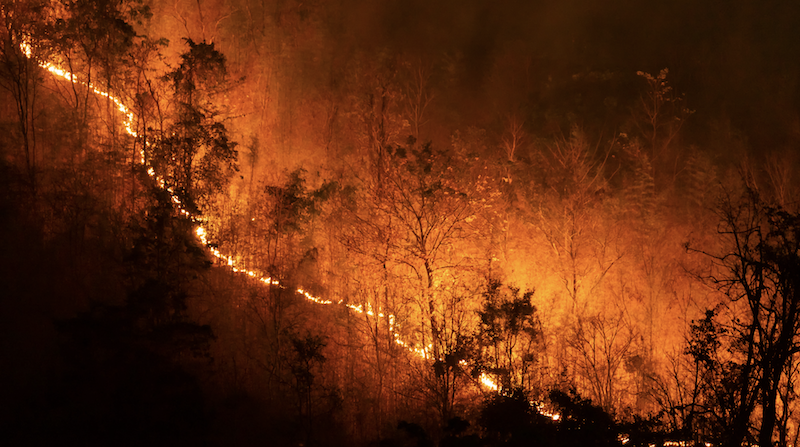 PuroClean deploys for California wilfire somke restoration