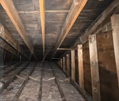 Houston crawl space mold remediation