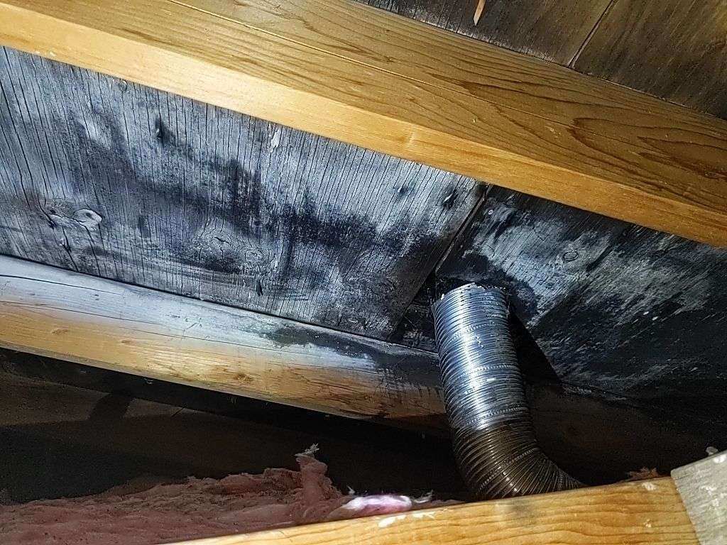 attic mold cost houston