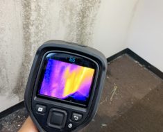 Mold remediation PuroClean Houston