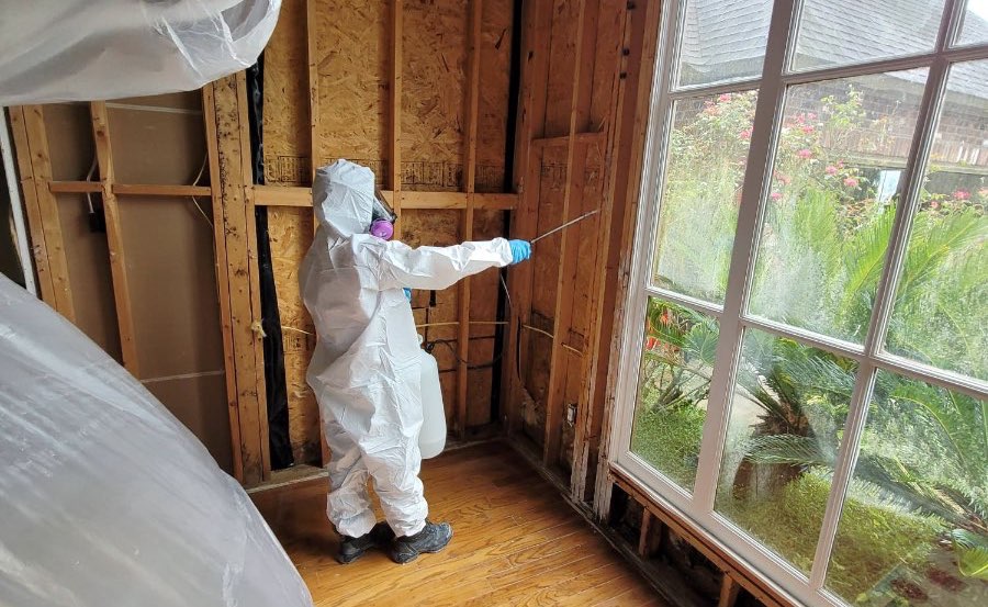 Mold removal Houston PuroClean remediation