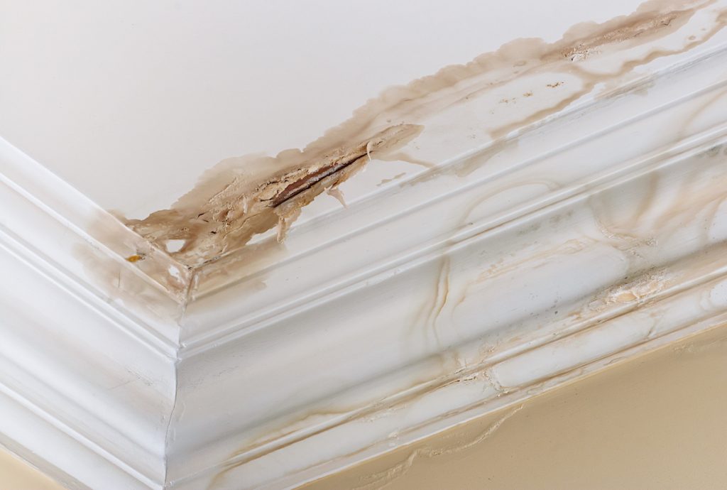 Buying a water-damaged house