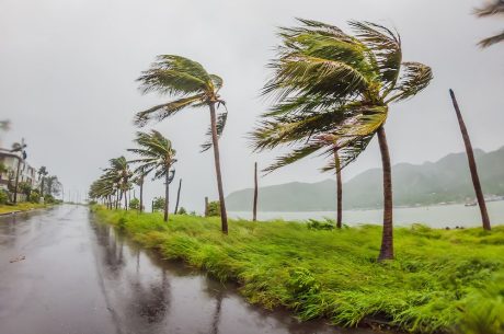 Hurricane Season is in full swing