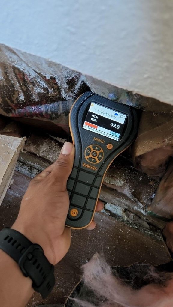 Moisture meter detecting moisture levels.