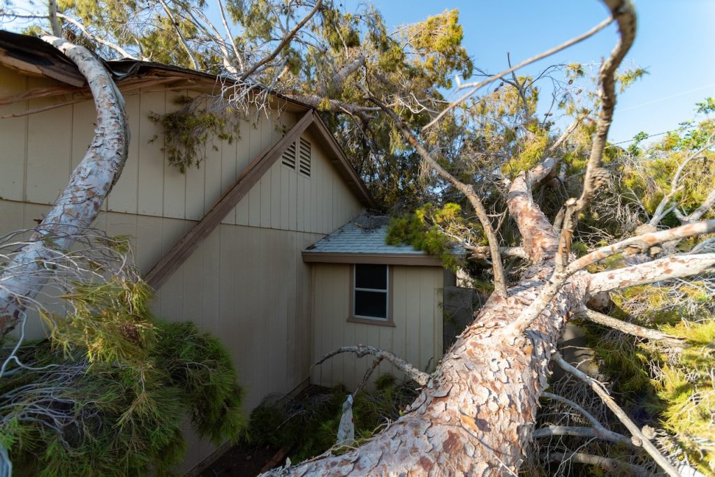 An adjuster will prove helpful when extensive damage has affected your property.
