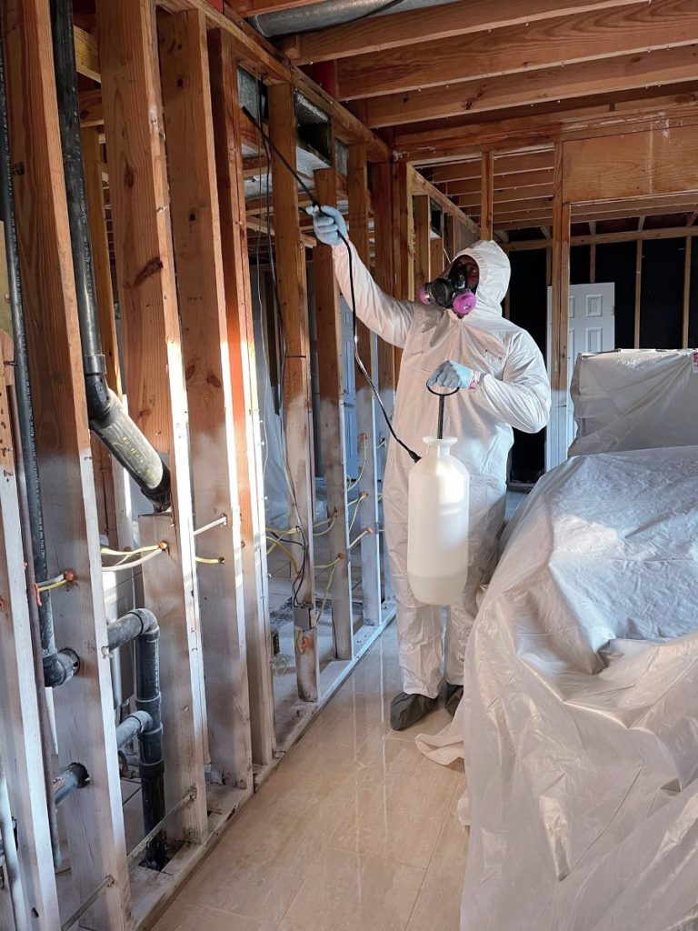 Ensure you hire a professional mold remediation contractor.