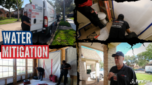 Water Mitigation Process Video