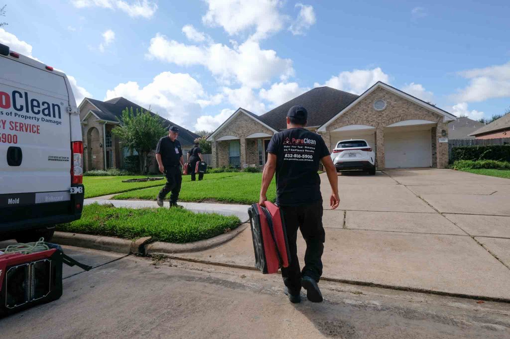 water mitigation process