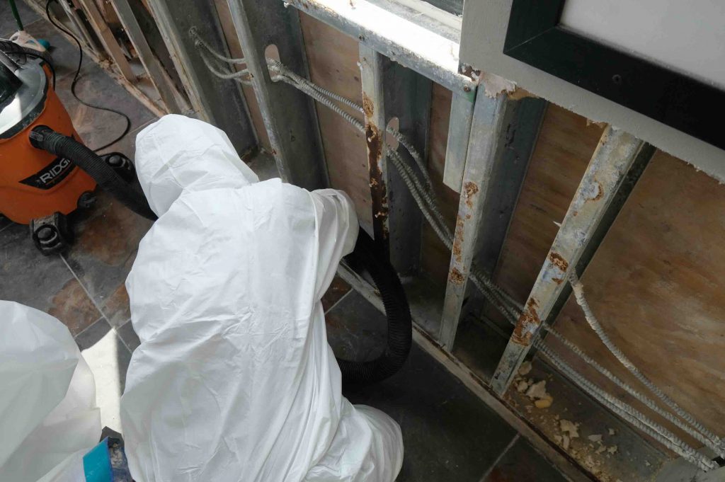 Commercial Mold by PuroClean Central Southwest Houston