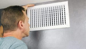 mold in air vents