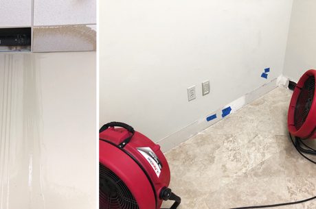 Wet Drywall with Mold
