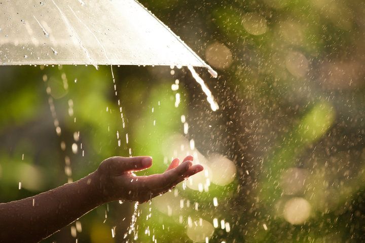 Heavy rain can potentiate water damage if the proper precautions aren't taken to protect your property.