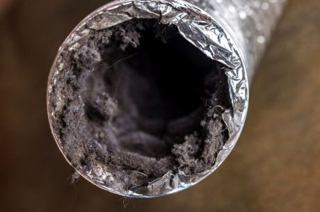 mold in air vents