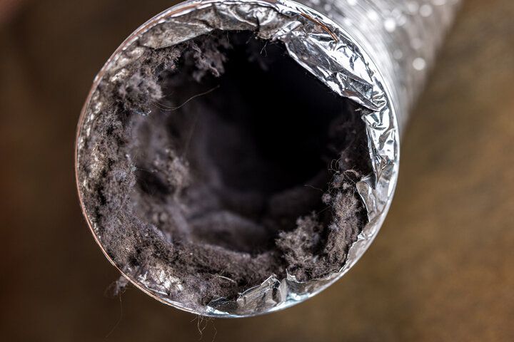 mold in air vents