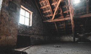 black attic mold sugar land TX