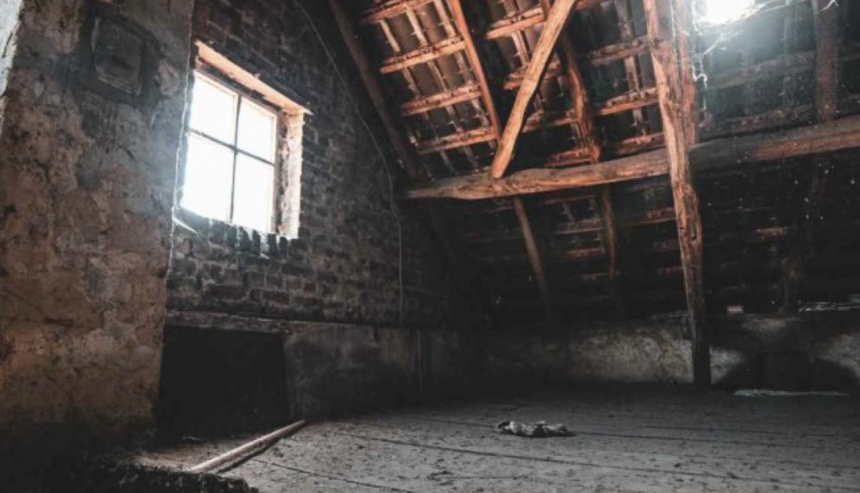 black attic mold sugar land TX