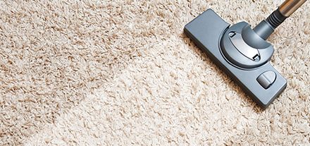 carpet cleaning