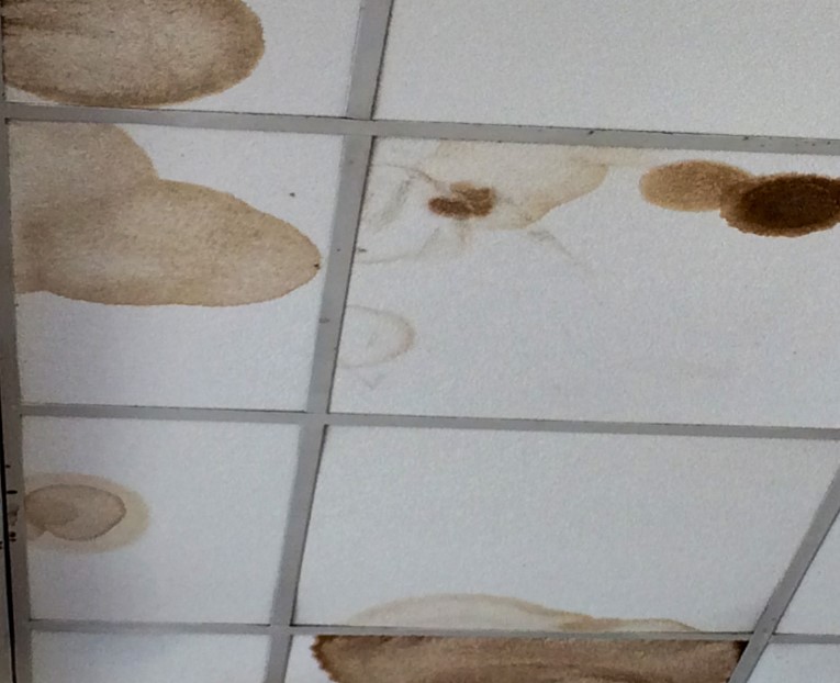How to Repair Ceiling Tiles with Water Damage